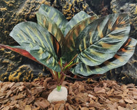 FLmoving artificial reptile plant for terrarium with heavy resin base - view 3