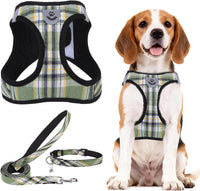 PUPTECK Dog Harness, Collar and Leash Set No Pull for Small Medium Sized – Essentials for Dogs - Yellow Green / XL (CHEST 20"-22") / Patterned Harness Collar and Leash Set