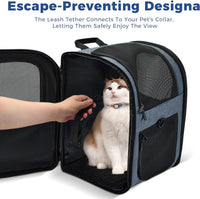 Apollo Walker Cat Backpack Carrier, Support Frame - Navy / Medium-Standard - image 3