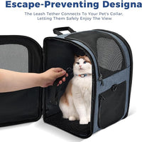 Apollo Walker Dog & Cat Carrier Backpack for 4-15lb Pets - Ventilated Safe Design with Padded Back Support, Breathable Mesh Pet Backpack for Hiking, Travel, Outdoor (Navy)