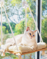 Cat Window Perch with Industrial-Grade Suction Cups - Beige / Medium