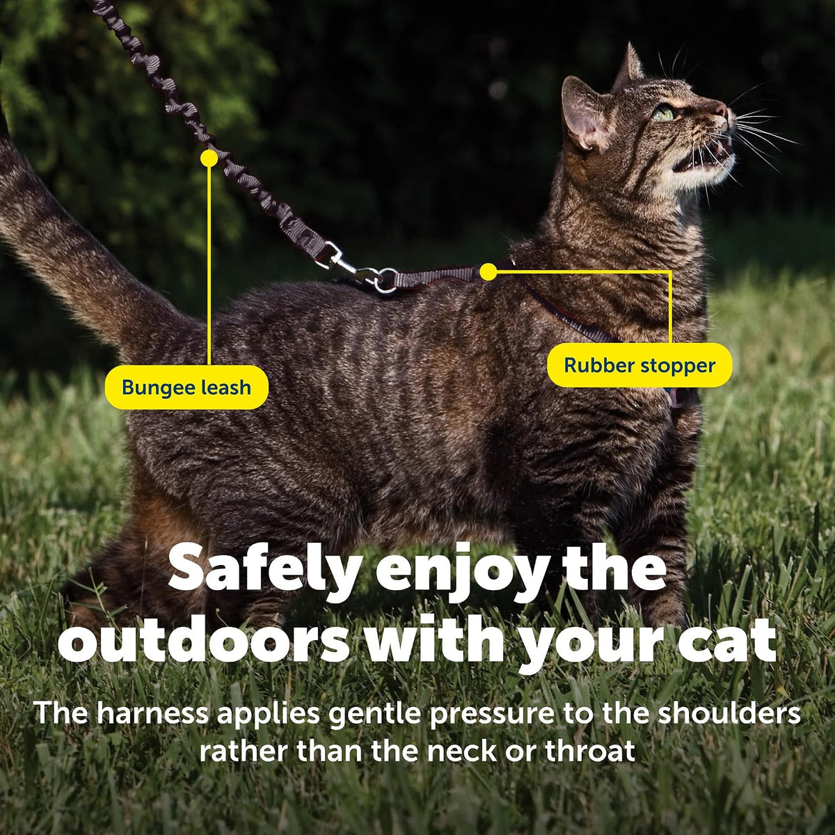 PetSafe Come With Me Kitty Harness and Bungee Cat Leash - Small (Pack of 1) / black/fawn - image 4