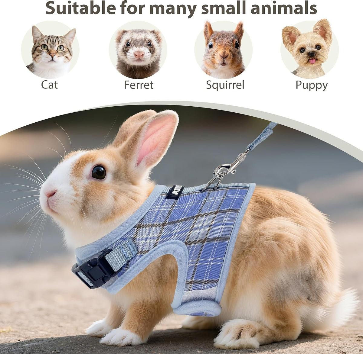 Plaid Breathable Rabbit Harness and Leash Set Escape Proof - Blue / M - image 3