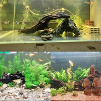 Tfwadmx Natural Driftwood for Aquarium Decor 5-8" Fish Reptile Tank - M: 3 Pack(7 - 9.5 inches) - image 4