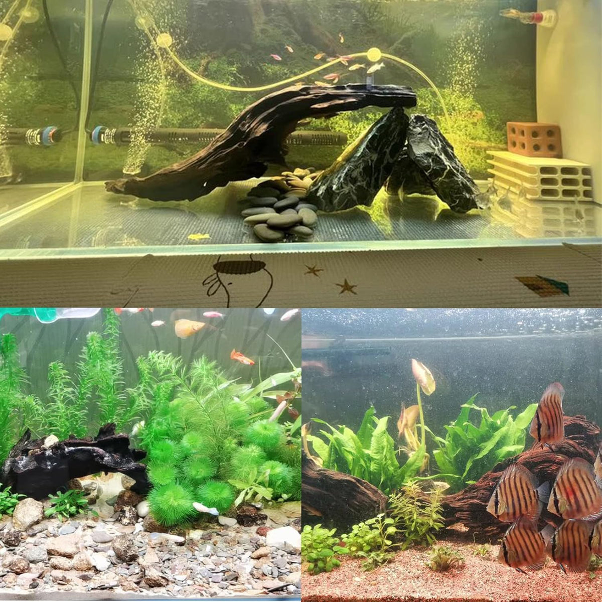 Tfwadmx Natural Driftwood for Aquarium Decor 5-8" Fish Reptile Tank - M: 3 Pack(7 - 9.5 inches) - image 4