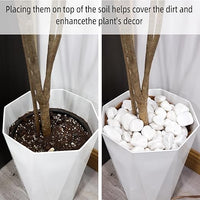 8LB 1"-2" White River Rocks for Plants, Polished Pebbles for Garden Landscaping, Planters, Aquariums, Vase Fillers – Indoor & Outdoor Decor