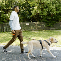 Chain Dog Leash, Bite-Proof Metal Leash - Orange / 4FT(5-30lb) - image 3