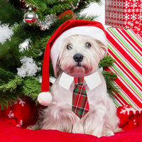 ADOGGYGO Fall Dog Neck Tie - Medium / Red & Green-2 - image 2
