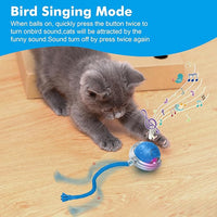 Cat Toys Ball for Indoor Cats - Interactive Automatic Cat Ball Toy | Fast Rolling & Motion Activated Chirping | Hide and Seek Mouse Catching Game | Stimulates Hunting Instinct (Blue)