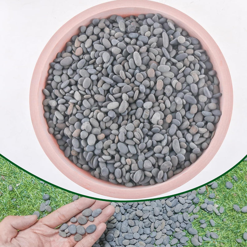 2.4lb River Rocks Pebbles for Plants & Succulents - 2.4LB / Small
