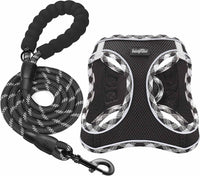 haapaw Dog Harness with Leash Set - XS / Black
