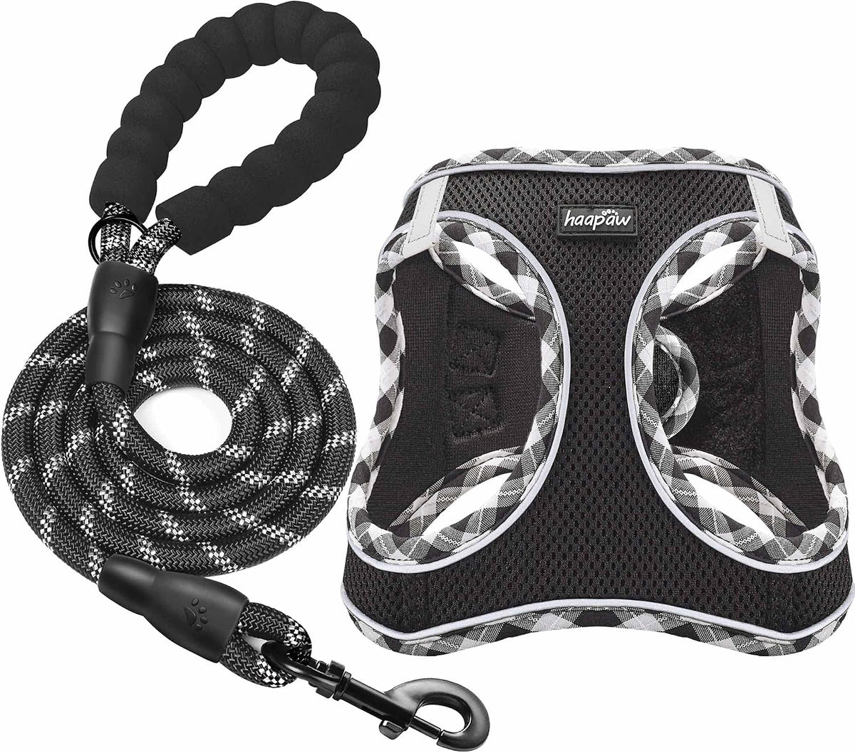 haapaw Dog Harness with Leash Set - XS / Black