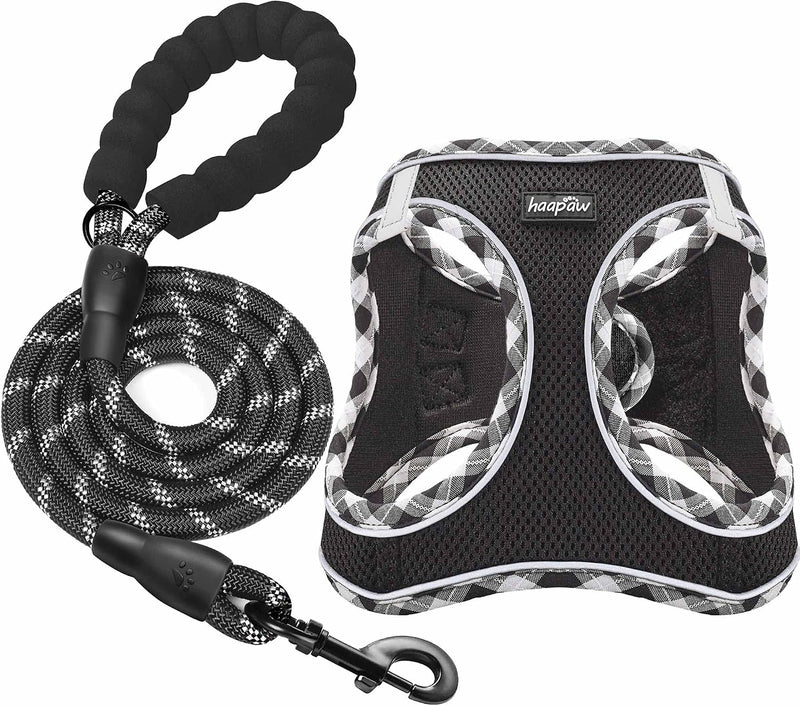 haapaw Dog Harness with Leash Set - XS / Black