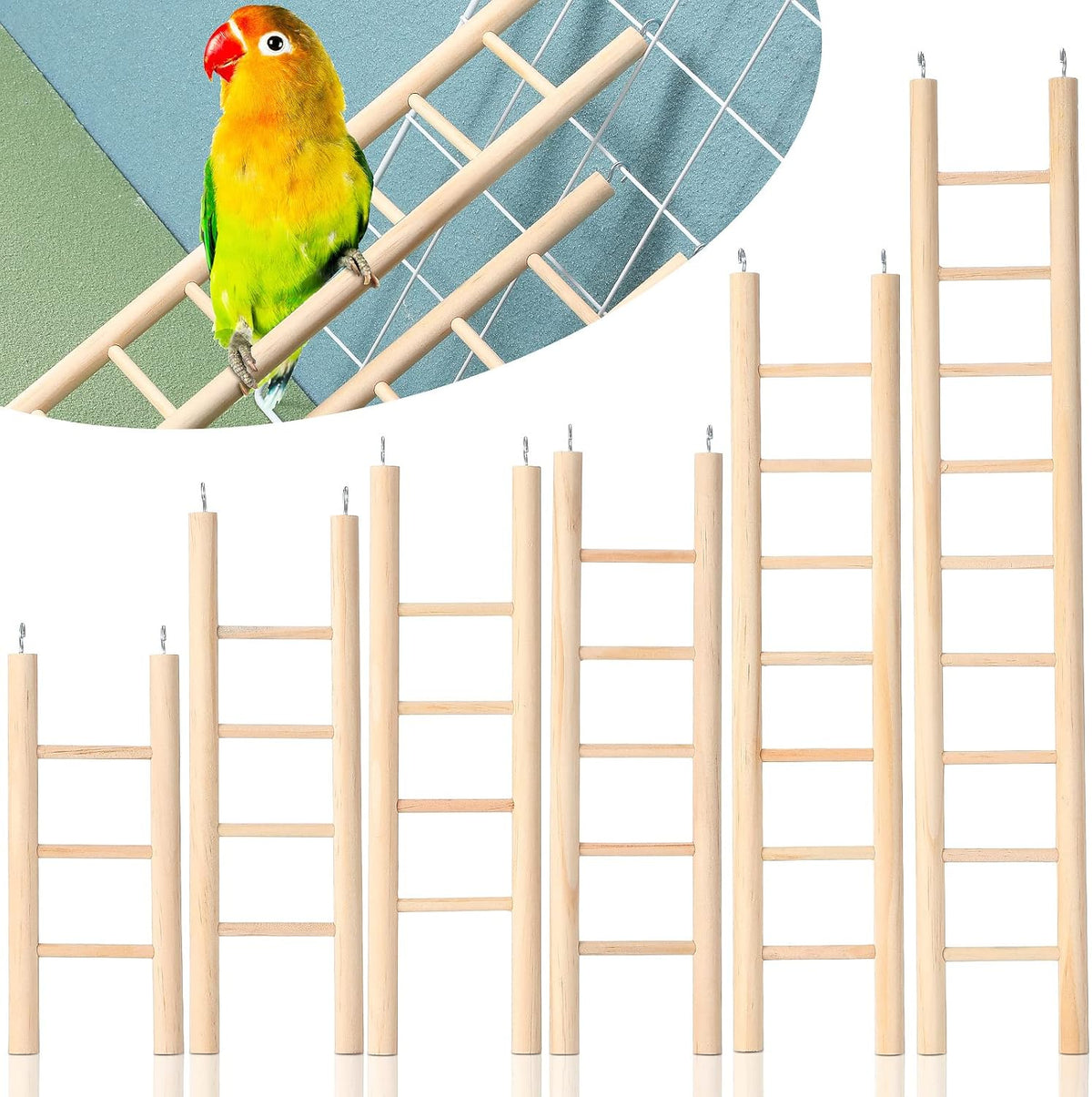Kigeli 6 Pcs Bird Ladders for Cockatiels