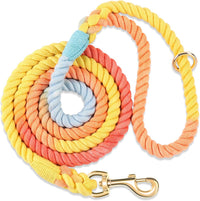 5 FT Handmade Rope Dog Leash for Small Medium and Large Dogs – Essentials for Dogs - 6FT x 1/2in (Pack of 1) / Colorful Rainbow