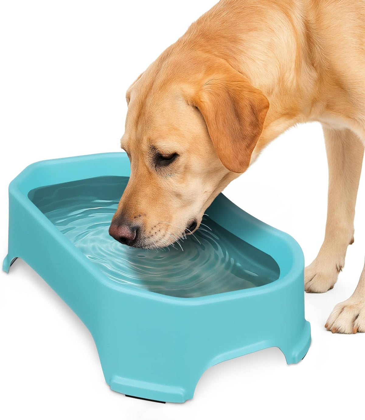 Neater Pet Brands Extra Large Water Bowl for Dogs - 1.25 Gallons / Aquamarine