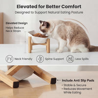 Ceramic Tilted Raised Cat Bowl - White with stand - image 3