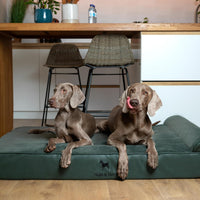 Large Dog Bed Orthopedic Memory Foam Cooling Gel 35x25x8.7 in – Essentials for Dogs - Green - LE / XX-Large - image 2
