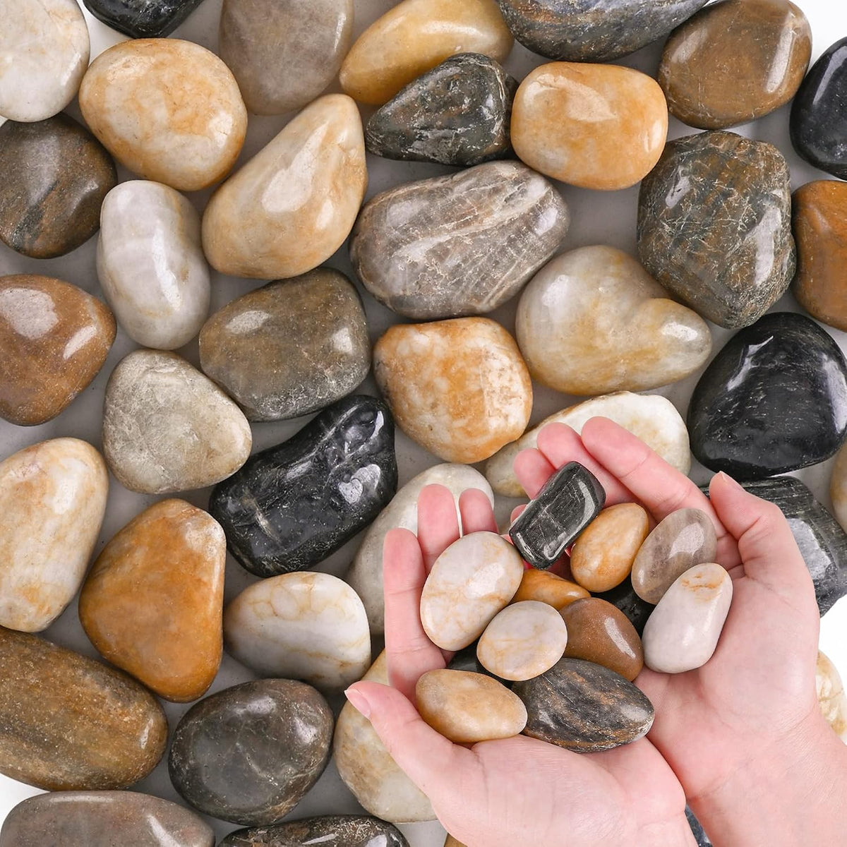 River Rocks for Plants 5.5 LB Small Decorative Pebbles 1"-1.5" - 3.5 LB (56oz) / Natural