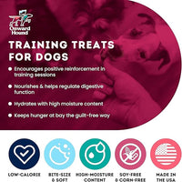 Training Treats for Dogs - Soft Salmon - Low Calorie Dog Training Treats for Sensitive Stomachs with Single Source Premium Protein, Corn Free, & Soy Free Formula - 10 oz