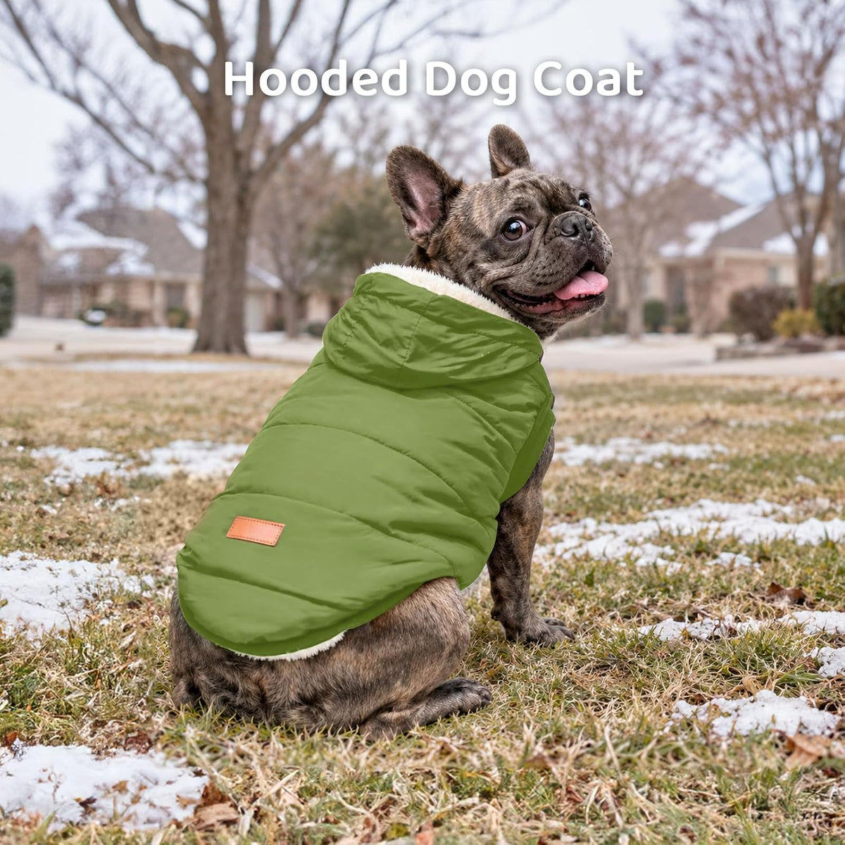 Vecomfy Warm Dog Coats with Hoodie - Medium / Green - image 2