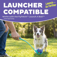 Outward Hound FlyFetch Launch-A-Ball Dog Ball Launcher Toy - Rubber Fetch Ballz (2-Pack) - image 4