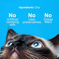 Boxie® Unscented 30 Day Odour Control Clumping Clay Cat & Kitty Litter 16 lb, 99.9% Dust-Free, Hard Flat Top® Clumps, No Fragrances No Fillers, Long-Lasting, Easy to Scoop