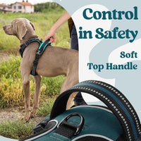 rabbitgoo Dog Harness for Large - Blue Coral / X-large - image 4