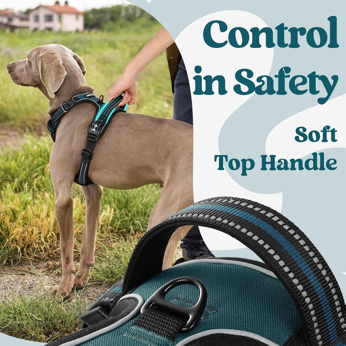 rabbitgoo Dog Harness for Large - Blue Coral / X-large - image 4