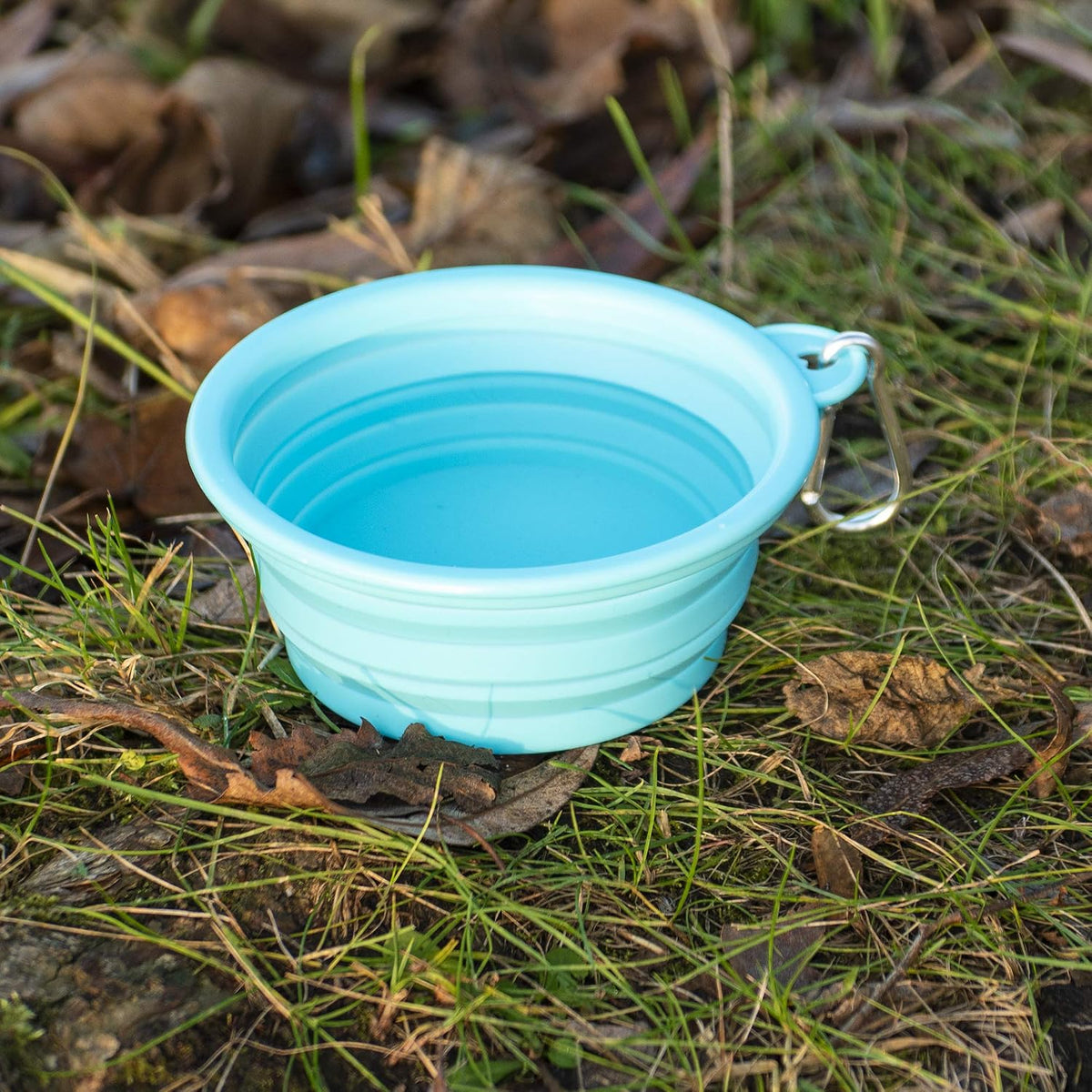 Portable Collapsible Dog Bowl for Water or Food Great Pet Travel Bowl - Teal / Standard 12oz - image 2