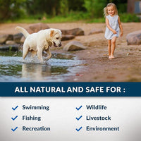 Airmax Twilight Blue Pond Dye 4X Concentrate for Outdoor Ponds & Lakes, Natural Pond Colorant & Beauty Enhancer, Block Ultraviolet Rays, Fish, Bird & Livestock Safe, Easy Liquid Application,1 Quart
