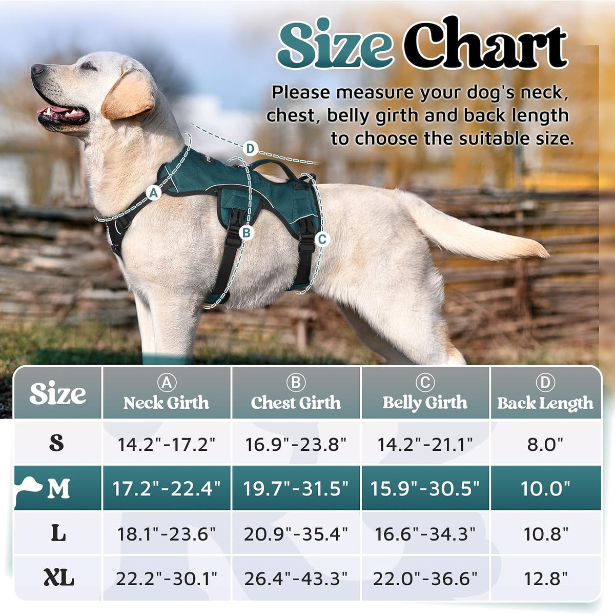 rabbitgoo Escape Proof Dog Harness for Large - Dark Green / Medium - image 2