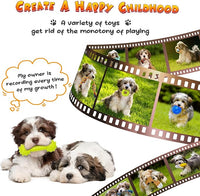 KIPRITII Puppy Toys for Dog Teething -25 Pack Various Puppy Chew Toys with Rope Toys, Dog Treat Balls & Squeaky Toy for Puppy and Small Dogs