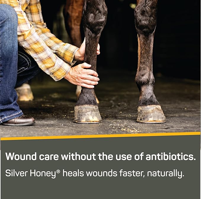 Absorbine Silver Honey Rapid Wound Repair Ointment Twin Pack 2oz Tubes, Manuka Honey & MicroSilver BG