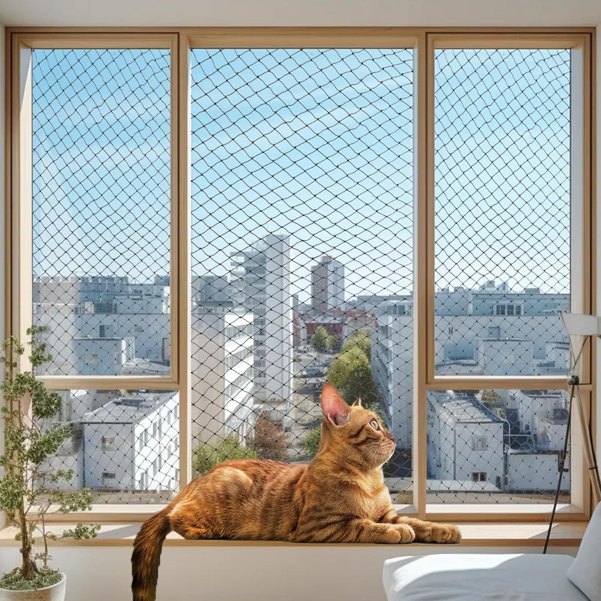 Wire-Reinforced Cat Netting, Bite Resistant - 4x3m-Black