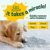 Sunny & Honey Enzyme Carpet Cleaner Spray - 32 Fl Oz, Spring Mint - Pet Urine Remover & Odor Eliminator - Stain Remover