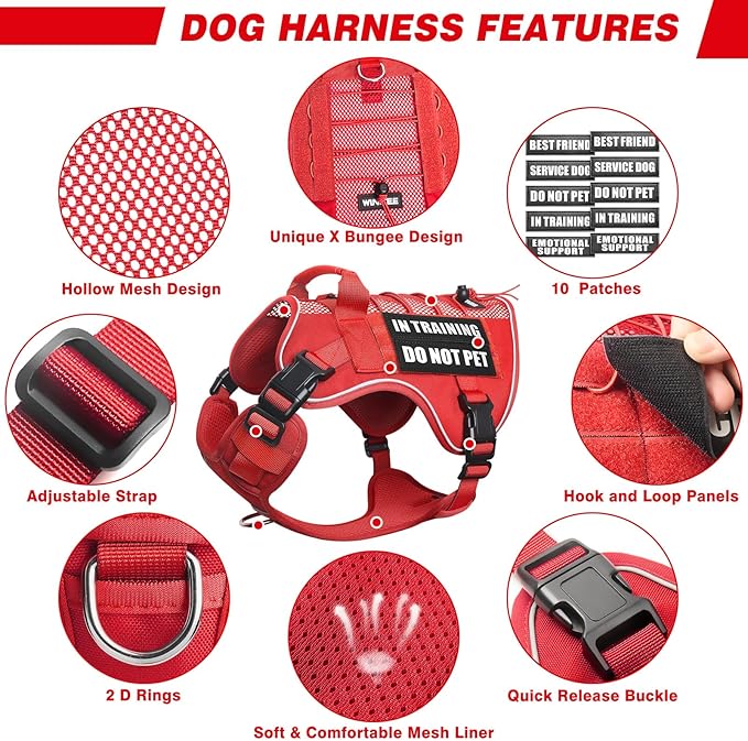 WINSEE Service Dog in Training Mesh Harness with 10 Pet Patches, Soft Air Mesh Breathable Tactical Dog Molle Vest, Reflective Military Pet Vest for Walking Hiking for Medium Dogs
