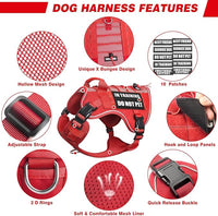 WINSEE Service Dog in Training Mesh Harness with 10 Pet Patches, Soft Air Mesh Breathable Tactical Dog Molle Vest, Reflective Military Pet Vest for Walking Hiking for Large Dogs