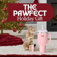 Kitty Cup Tumbler Cat Toy – Funny Cat Birthday Gifts with Catnip & Crinkle Paper, Cute Girl Kitten Toys (Pink Peach Dust)