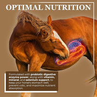 Equerry's Economy Equine Supplement - Horse Probiotics | Supplement for Horses | Horse Vitamins and Minerals Supplement with Enzymes and Selenium,20lb