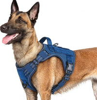 rabbitgoo Tactical Dog Harness for Large - Blue / L(Chest:22"-37",Neck:21.1"-30.3",Back:8.3")