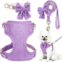 Small Dog Collar Harness and Leash Set with Bowtie - Purple-Harness / S: Neck 10-16", Chest 14-18.9"