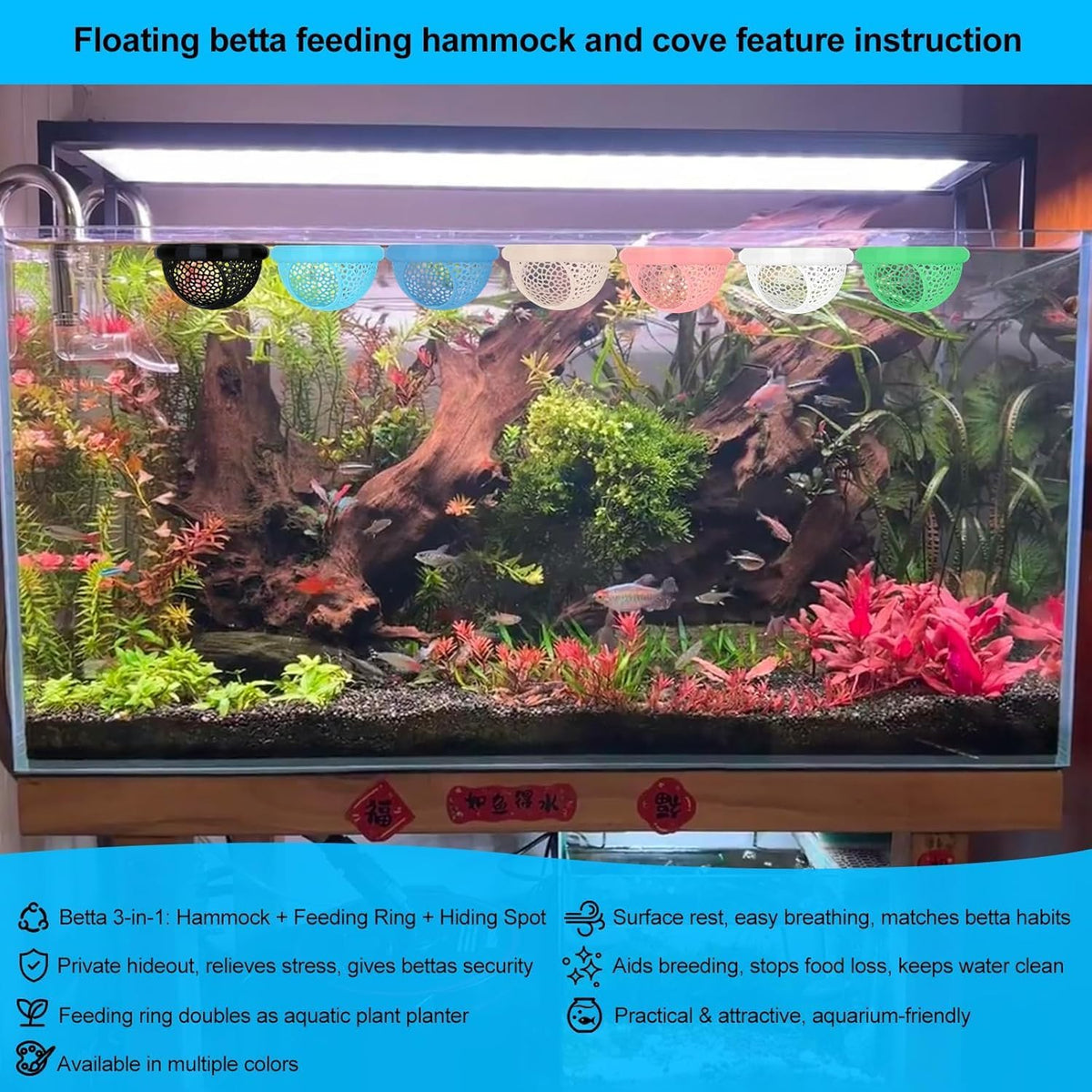 2pcs Wood Fish Feeding Ring for Aquarium，Floating Betta Hammock - White / 1pcs big and 1pcs small floating version - image 4