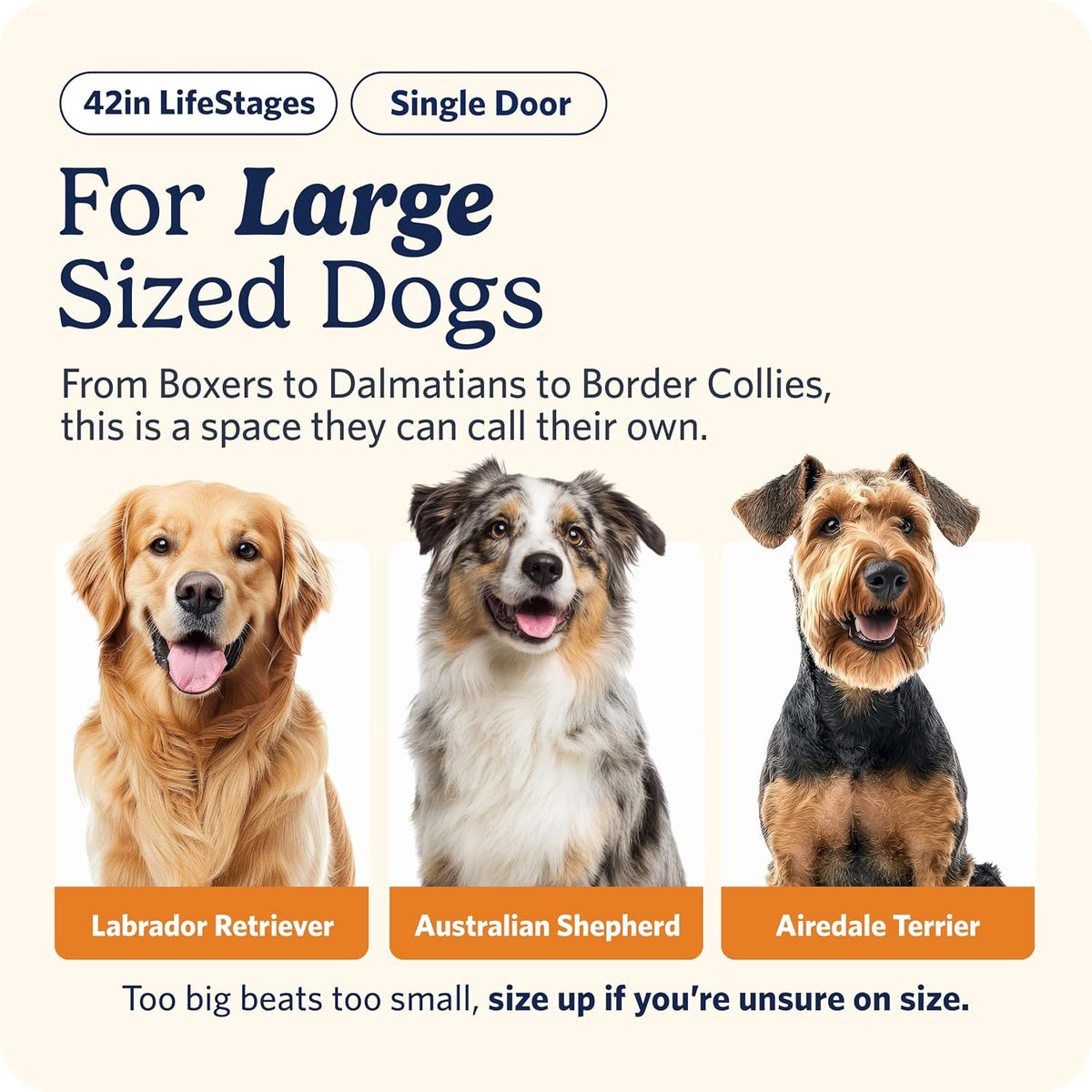 LifeStages by MidWest 36-Inch Double Door Crate, M-L Breeds - Single Door / Fits 42-inch Crate - image 2