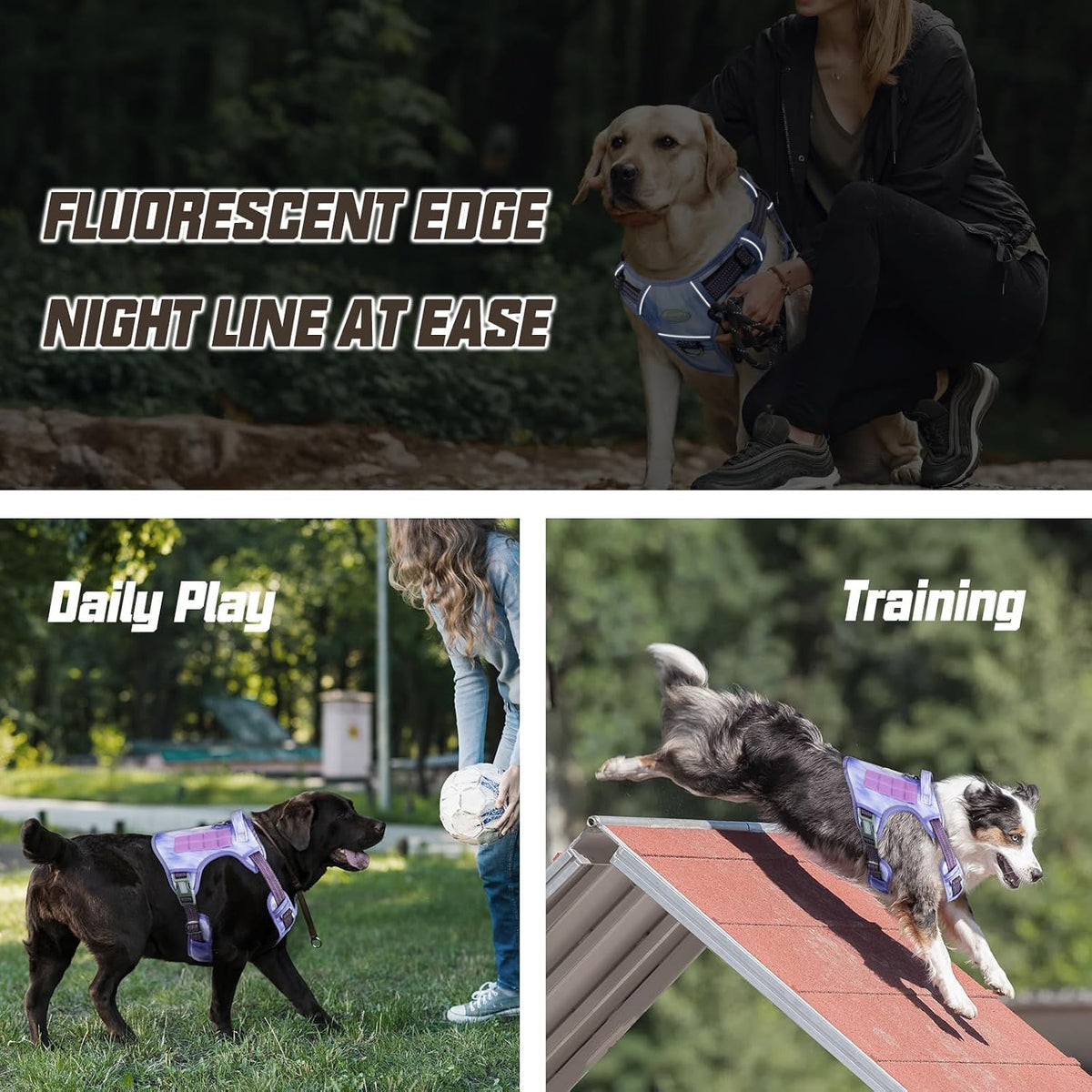 AUROTH Dog Harness for Large Dogs - Very Peri / M(Neck:16-22",Chest:22-33"),35-50 lbs - image 4