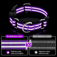 Martingale Collar for Dogs, Reflective Escape Proof, M - Purple / Medium - image 3