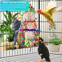 Bissap 2PCS Conure Toys, Foraging Bird Chew Sola Balls Toy for Small Parrot – Essentials for Birds - 1 PCS - image 3