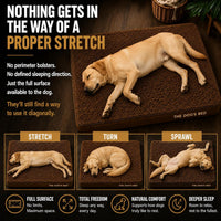 The Dog’s Bed Orthopedic Memory Foam Dog Bed - Brown Plush / Large Beds (6" deep) - image 3