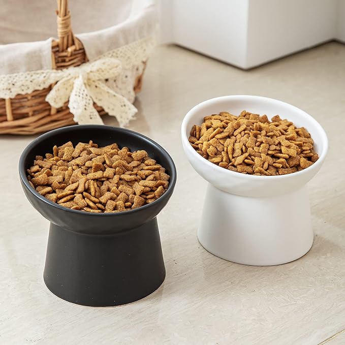 Ceramic Raised Cat Bowls, Elevated Tilted Cat Food and Water Bowls Set, Porcelain Stress Free Pet Feeder Dish for Cats and Small Dogs, Dishwasher and Microwave Safe, Set of 2(White)