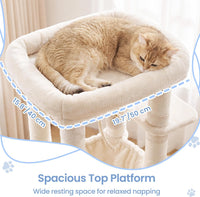 Heybly Cat Tree, 76-Inch Tall Heavy Duty Cat Tower for Big Cats HCT039G – Essentials for Cats - Beige / 60 inch - image 2
